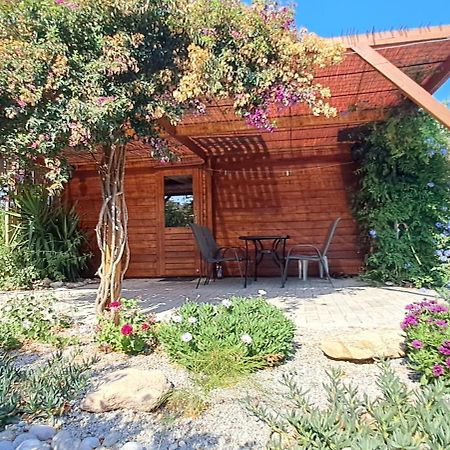 Villa Soroni Esterno foto
